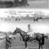 Barnaby's Bluff  Saratoga July 31, 1962