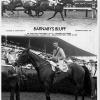 Barnaby's Bluff-Delaware Park 1962