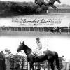 Barnaby's Bluff Monmouth Park