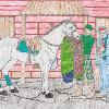 1st Place - Jaslyn Croft, a 5th grader at Chukker Creek Elementary