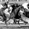 winning the 1963 Monmouth Oaks Stakes