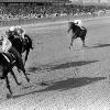 winning the 1963 Firenze 