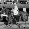 winner - 1963 Spinster Stakes