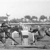 winning the 1963 Gazelle 