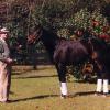 Miller with Sea Hero in Aiken, SC.  photograph courtesy of Ginny Southworth.