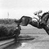 1953 Charles Appleton Memorial Steeplechase