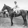 Winner of 1952 Wilmington Handicap