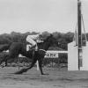 Winning the 1950 Vosburgh Handicap