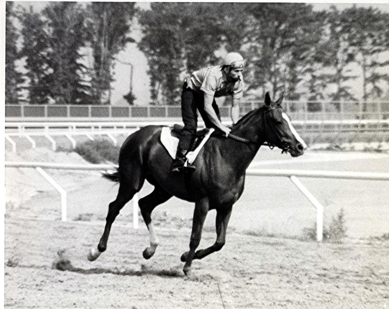 Aiken Thoroughbred Racing Hall of Fame Stage Door Johnny