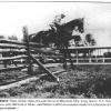 Peter Green, an Aiken Native, started his career as an exercise boy then as a groom and then as a foreman.  He was the trainer for Thomas Hitchcock's Broad Hollow Stables and his steeplechase horses. He trained for Hitchcock for 50 years.