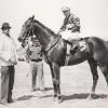 James Gordon, Jr., holding the reins of Blasting Charge who was owned by John M. Schiff and trained by Flint S. “Scotty” Schulhoffer.  He worked as a groom  in the 1940’s through the 1960’s. He was working at the Aiken Training Track soon after the track opening for business in 1942.