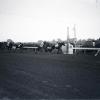 Finish of the 1949 Preakness Stakes finish by Bert Morgan.