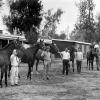 Maloney in front with (from left to right) Princessnesian, Romanticism, Gamely,Desert Law and Morgaise.