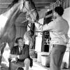 Maloney and Princessnesian at Santa Anita 1969.