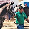 Antonio Sambrano, Sr. worked as a groom for  Dogwood Stable for 26 years. He and his family are originally from Mexico, but have called Aiken home for over 30 years. He and his wife have five children, two of which work or have worked as trainers, grooms and farriers.
