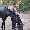 Javier Rodriguez is from Michoacán, Mexico. He came to the U.S. in 1992. When Rodríguez began working with horses, he began at Hill N’ Dale Stable. Rodríguez then started working for Dogwood Stable and for Legacy Stable and has been with them for over 25 years.