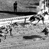 Lucky Debonair crossing the finish line.  Photo courtesy of NBC Sports.