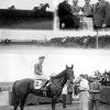 Oedipus - The Brook Steeplechase Handicap 1950