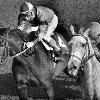 Open Fire winning the 1966 Spinster