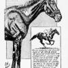 Brazil Daily Times (Indiana)
November 13, 1964
