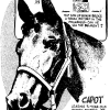 Corona Daily Independent (California) 						June 7, 1949 
