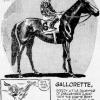 Galveston Daily News (Texas)						 November 16, 1945
