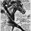 Ada Evening News (Oklahoma)
July 28, 1963
