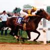 Sea Hero crossing the finish line. (photo courtesy of the late MacKenzie Miller)