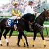 Sea Hero on the way to the starting gate. (photo courtesy of the late MacKenzie Miller)