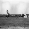 Shut Out winning the 1942 Belmont Stakes. Photo credit: Bert Morgan.