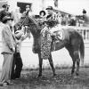 Shut Out after getting a blanket of roses.  He won the 1 and 1/4 mile race in a time of 2:04.40. (photograph courtesy of John Gaver, Jr.)
