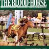 Summer Squall on the cover of The Blood-Horse on May 26, 1990.