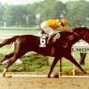 Winning the 1984 Belmont Stakes